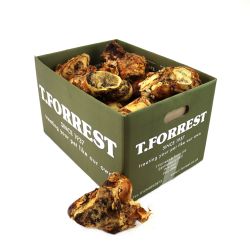 T Forrest Roast Knuckle Bone - Single